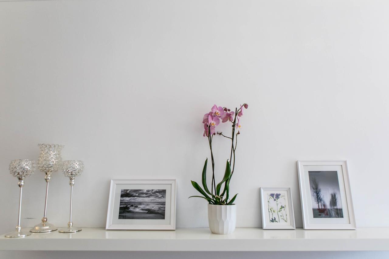 Hayes Bank Bed & Breakfast Ashford  Dış mekan fotoğraf
